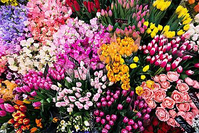 《匹诺曹的谎言》将新增难度选项 DLC“序曲（Overture）”一小时实机